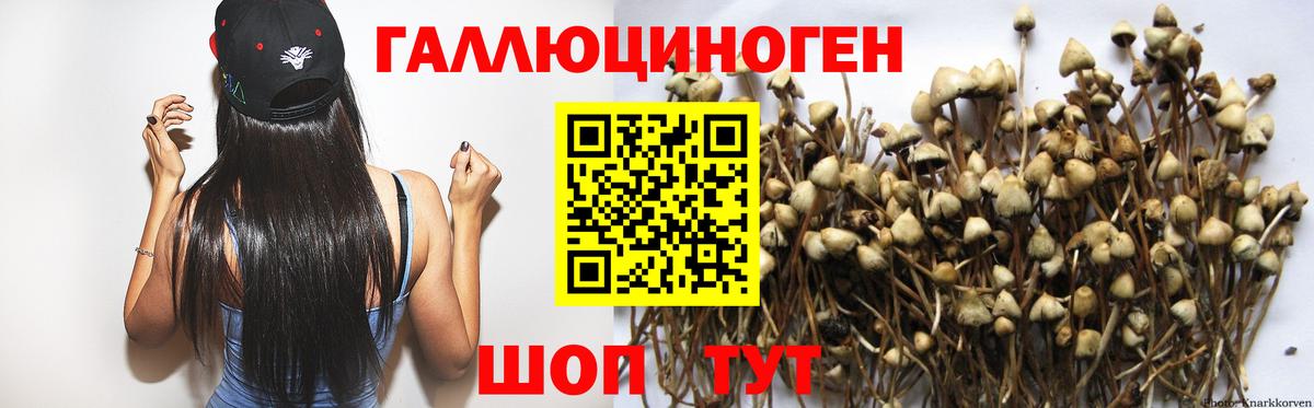 Сокол  Псилоцибиновые грибы прущие грибы  Вход с VPN 